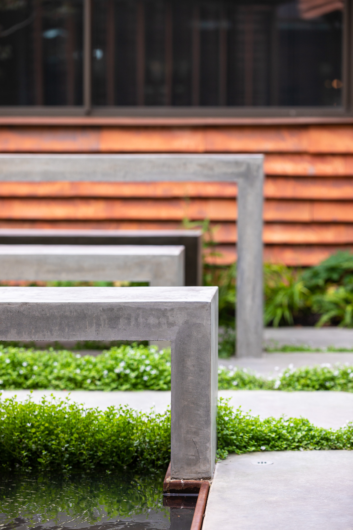 Colm Joseph Cambridge garden design modern courtyard concrete paving and concrete furniture planted paving joints pratia treadwellii